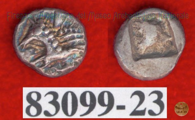 Hippalektryon a s./Quadrato inc. (HN Italy, 92-93) 500-450 a.C. (Pupluna?)