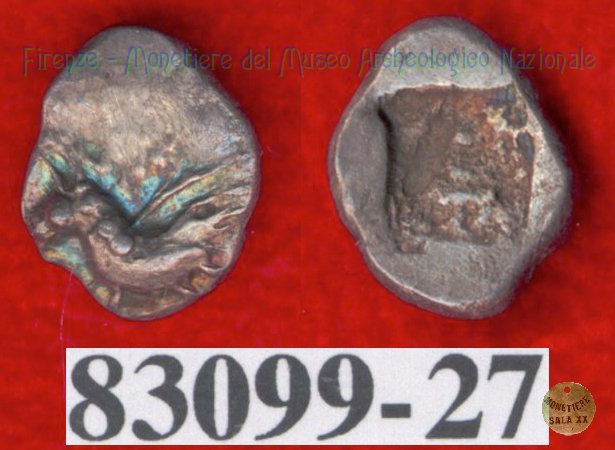 Hippalektryon a s./Quadrato inc. (HN Italy, 92-93) 500-450 a.C. (Pupluna?)