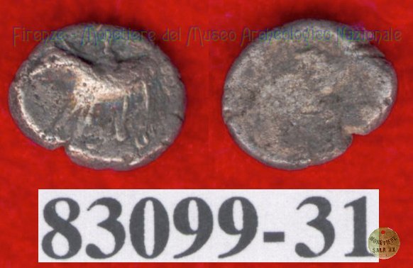 Hippalektryon a s./Quadrato inc. (HN Italy, 92-93) 500-450 a.C. (Pupluna?)