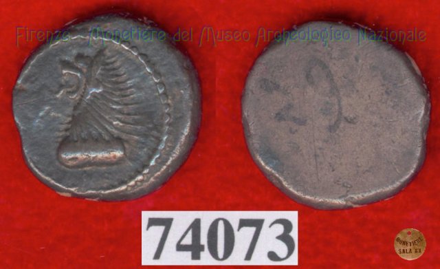 Protome leonina/Senza tipo (HN Italy, 114) 499-400 a.C. (Pupluna)