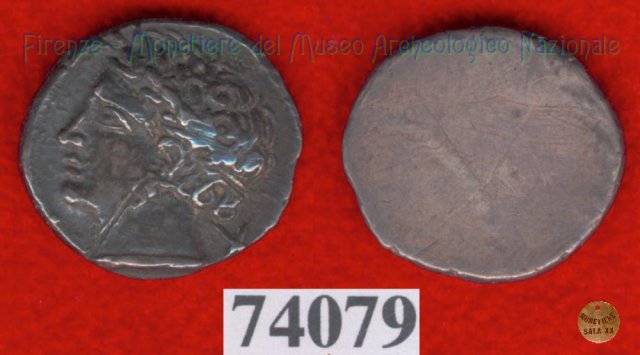 Testa di Aplu / senza tipo (HN Italy 168) 400 a.C. (Pupluna)