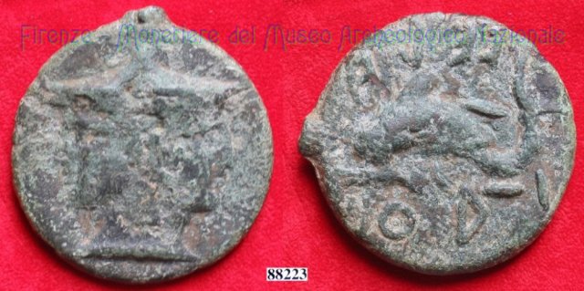 Testa di Culsans / Delfino (HN Italy 110a) 299-200 a.C. (Velathri)