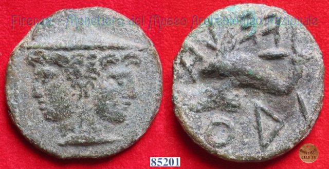 Testa di Culsans / Delfino (HN Italy 110b) 299-200 a.C. (Velathri)