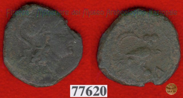 Testa di Menrva / Civetta (HN Italy 186) 400 a.C. (Pupluna)