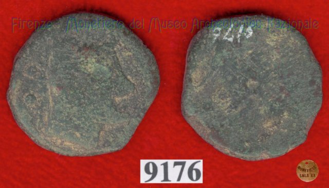 Testa giovanile / tridente (HN Italy 203)  (Vatluna)