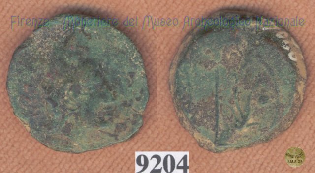 Testa giovanile / tridente (HN Italy 203)  (Vatluna)