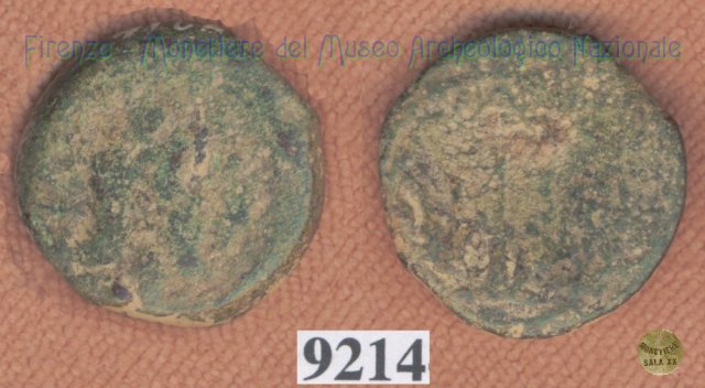 Testa giovanile / tridente (HN Italy 203)  (Vatluna)
