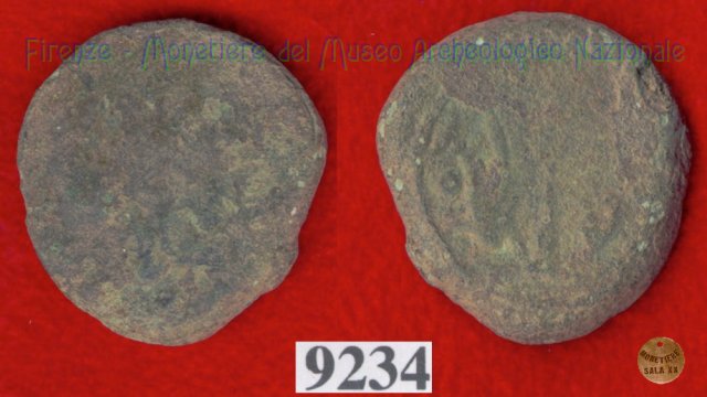 Testa giovanile / tridente (HN Italy 203)  (Vatluna)