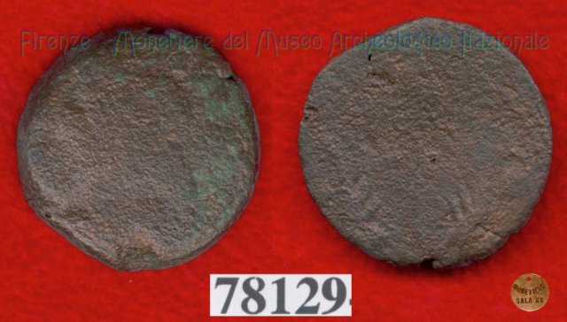 Testa giovanile / tridente (HN Italy 203)  (Vatluna)