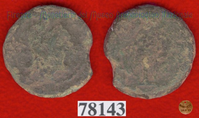 Testa giovanile / tridente (HN Italy 203)  (Vatluna)