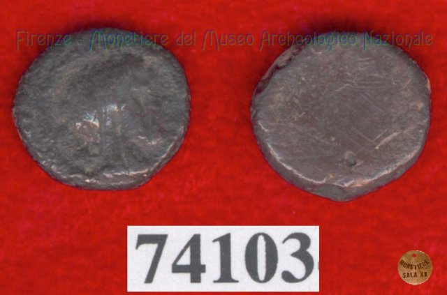 Testa maschile / senza tipo (HN Italy -) 400 a.C. (Pupluna)