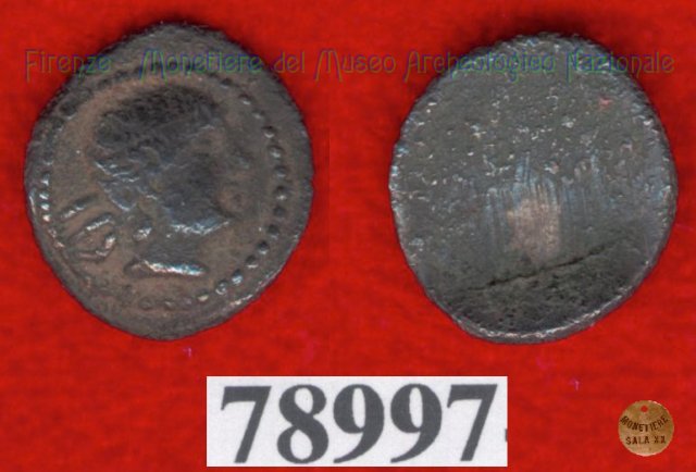 Testa maschile / senza tipo (HN Italy -) 400 a.C. (Pupluna)