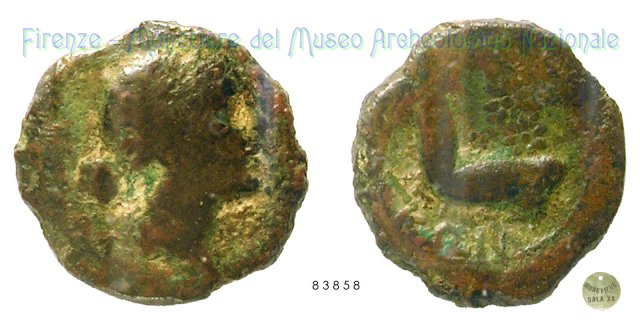Serie Afrodite - Braccio con ramo di palma 300-250 a.C. (Ancona)