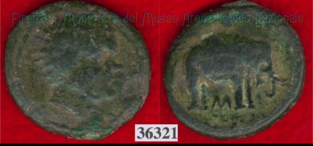 Testa di negro / Elefante - sigma (HN Italy 69) 299-200 a.C. (Val di Chiana)